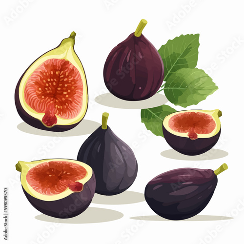 Collection of fig vector illustrations with a hand-painted look.