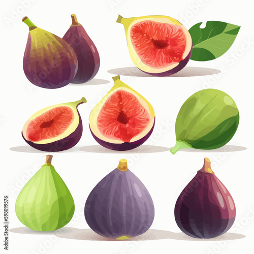 Vector illustration of a fig with a natural look.