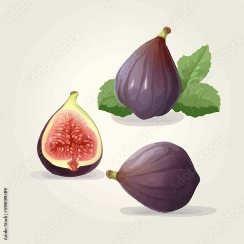 Vector image of a fig with a glossy finish.