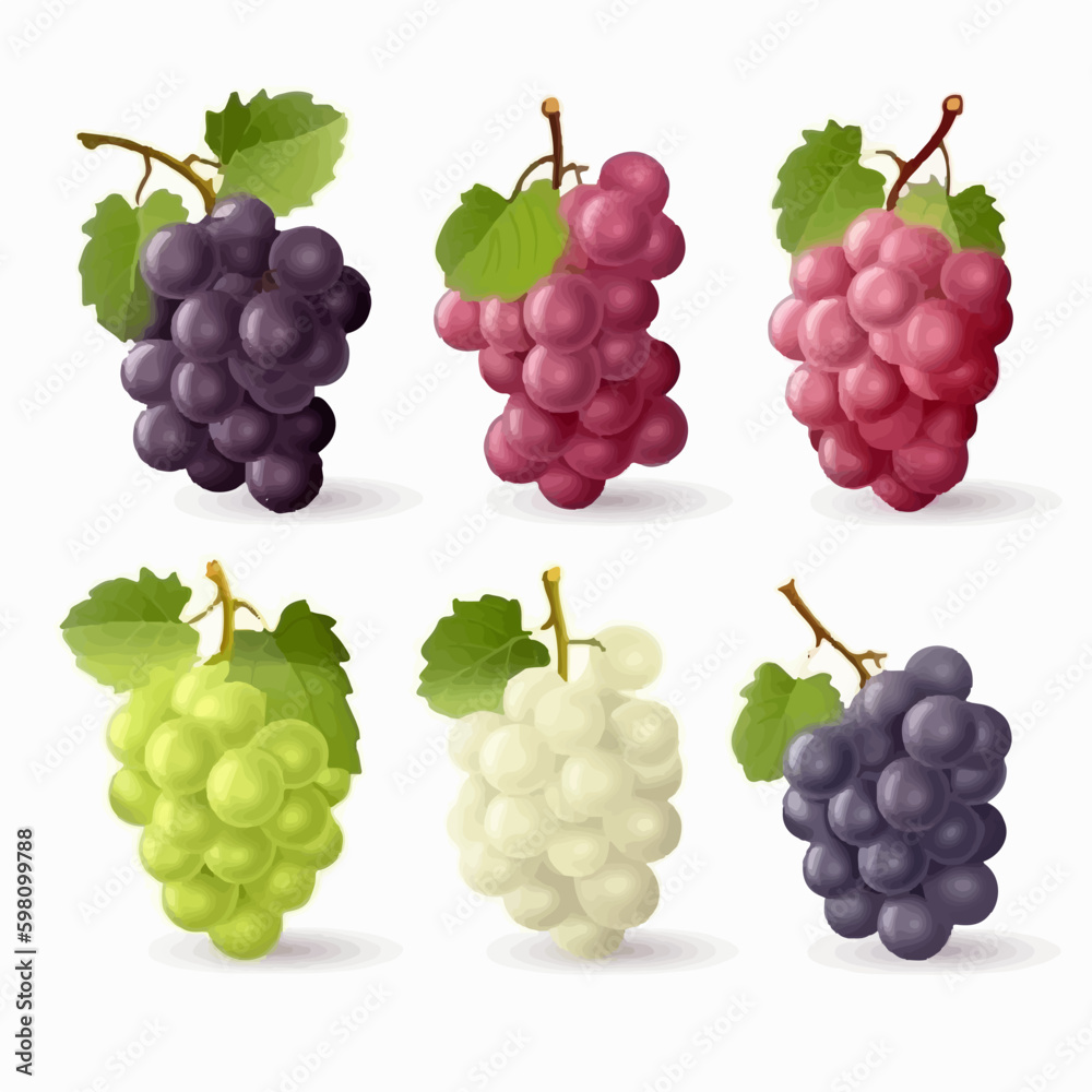 Vector grapes with green leaves on white background Vector grapes with green leaves on white background