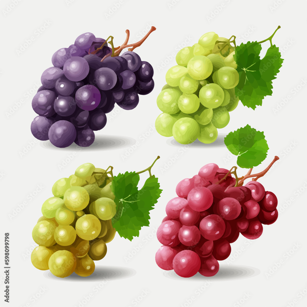 Vector illustration of a grape branch with leaves and berries Vector illustration of a grape branch with leaves and berries