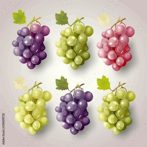 Set of hand-drawn grape illustrations in vector format