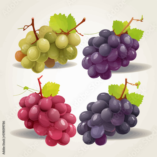 Collection of grape vectors with different colors and styles
