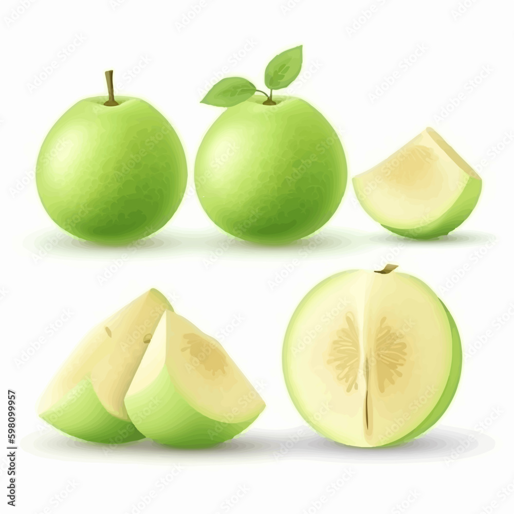 Honeydew melon slice with peaches and cherries vector illustration Honeydew melon slice with peaches and cherries vector illustration