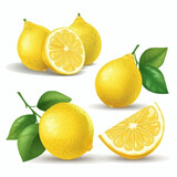 Lemon stickers with a hand-drawn calligraphy design