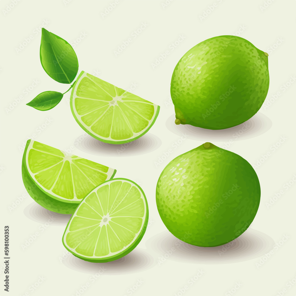 A Lime illustration with a sliced section revealing the detailed texture