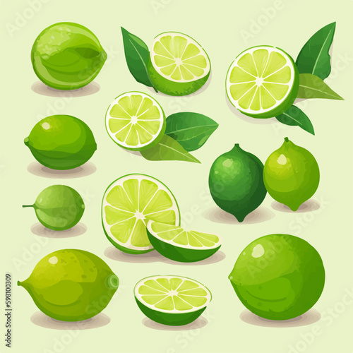 A set of Lime illustrations featuring different sizes and shapes for variety