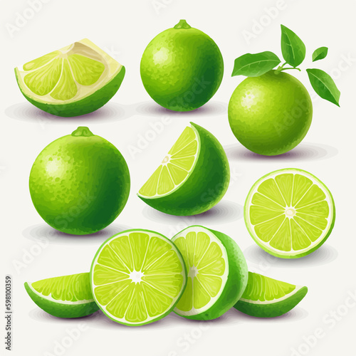 A set of Lime illustrations with different decorative elements for added interest