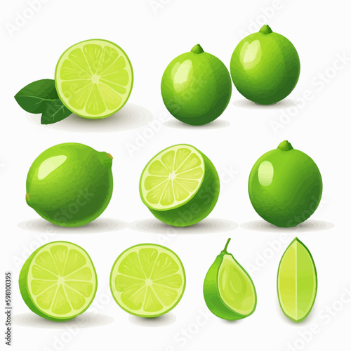 A Lime illustration with a 3D effect and shadow for added realism