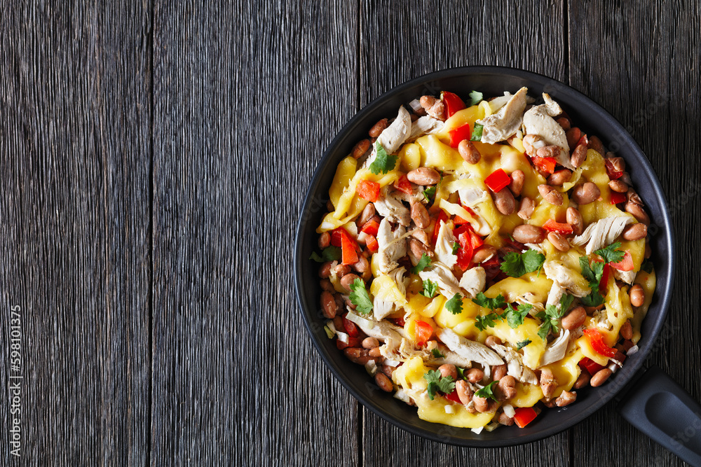 chicken, pinto beans, tomatoes, cheese, top view chicken, pinto beans, tomatoes, cheese, top view