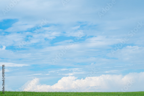 Green meadow with blue sky and fluffy clouds on the horizon