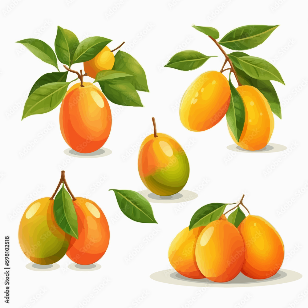 Vector illustration of a mango cut in half with a seed exposed Vector illustration of a mango cut in half with a seed exposed