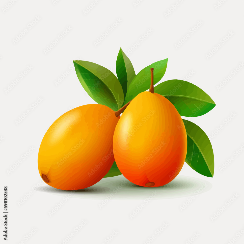 Collection of mango vector illustrations with different shades of orange Collection of mango vector illustrations with different shades of orange