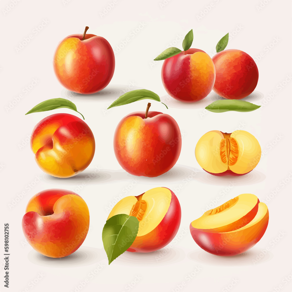 Vector illustration of a nectarine with a bite taken out Vector illustration of a nectarine with a bite taken out