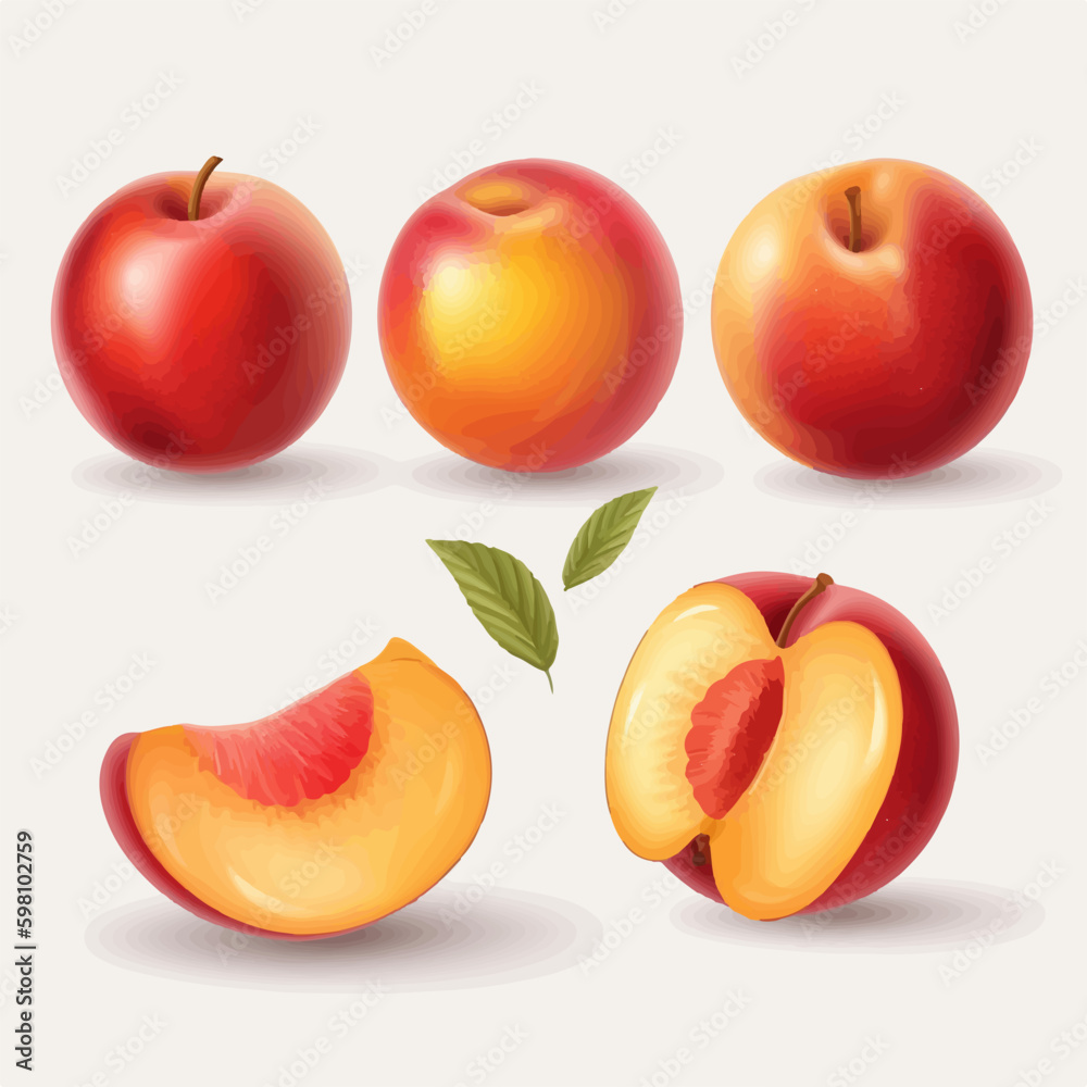 Set of nectarine fruit illustrations with a flat design style Set of nectarine fruit illustrations with a flat design style