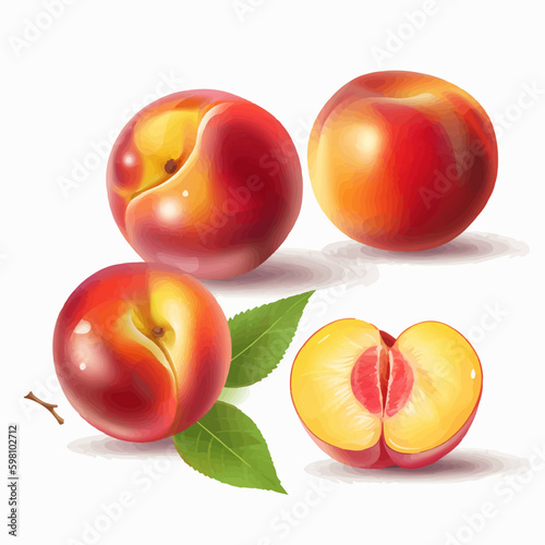 Set of nectarine fruit illustrations in a realistic 3D style