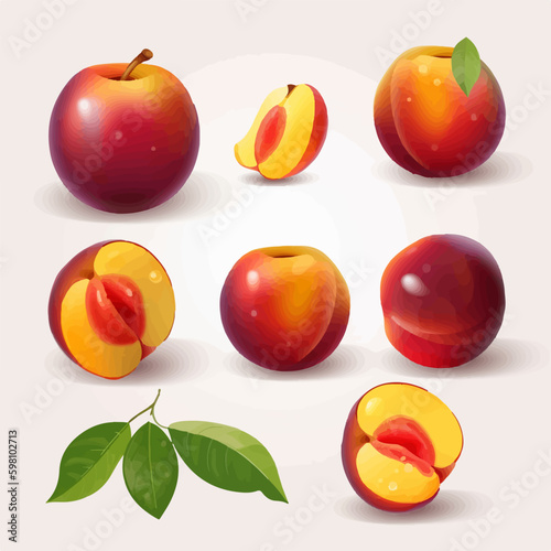 Collection of vector nectarine illustrations with a minimalistic style