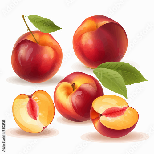 Vector illustration of a juicy nectarine fruit with a water droplet