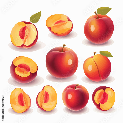 Nectarine fruit illustration set with various styles and poses