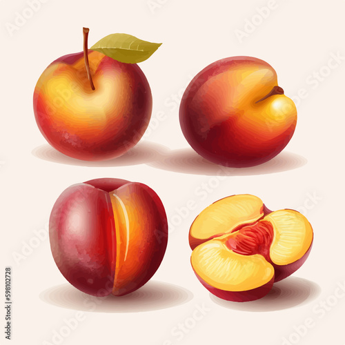 Vector illustration of a ripe nectarine with green leaves