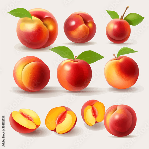 Set of nectarine fruit illustrations with a white outline style