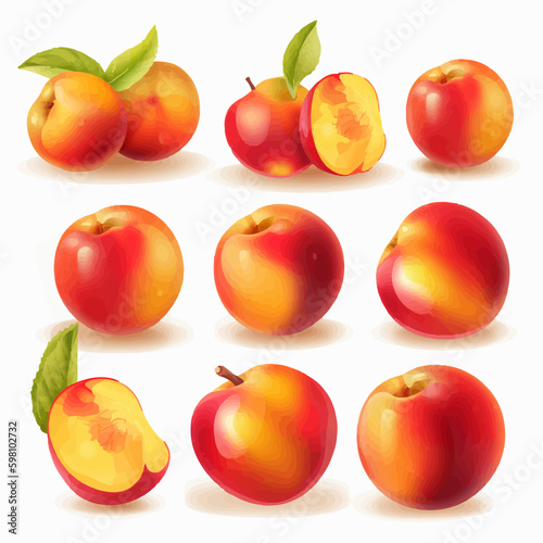 Nectarine fruit illustration set with different angles and poses