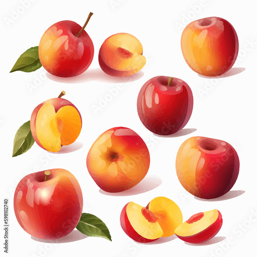 Collection of vector nectarine illustrations with a gradient mesh background