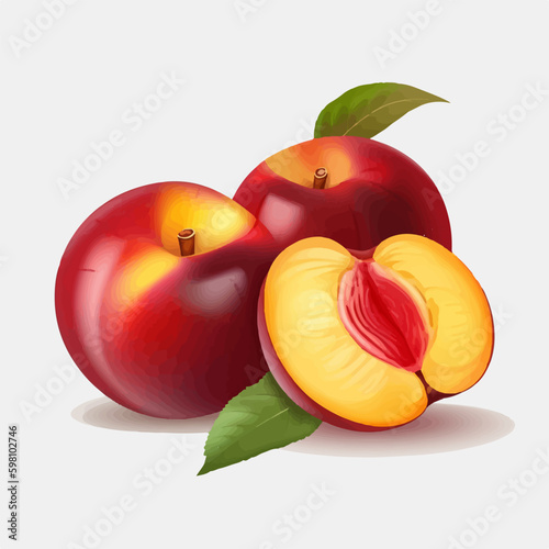Vector illustration of a sliced nectarine fruit with a black background