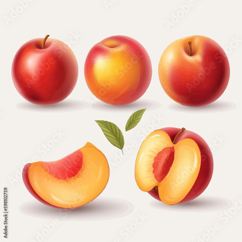Set of nectarine fruit illustrations with a flat design style