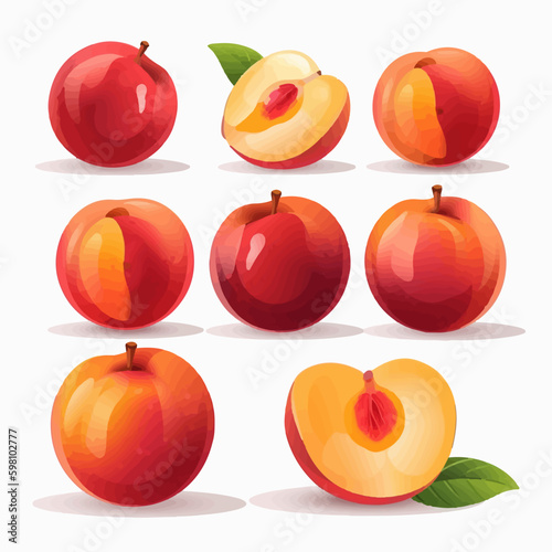 Collection of vector nectarine illustrations with a hand-drawn style