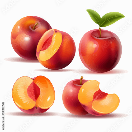 Vector illustration of a whole nectarine with a stem
