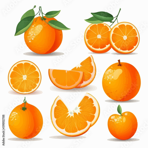 A set of orange vector illustrations that are perfect for your fruit-themed designs.