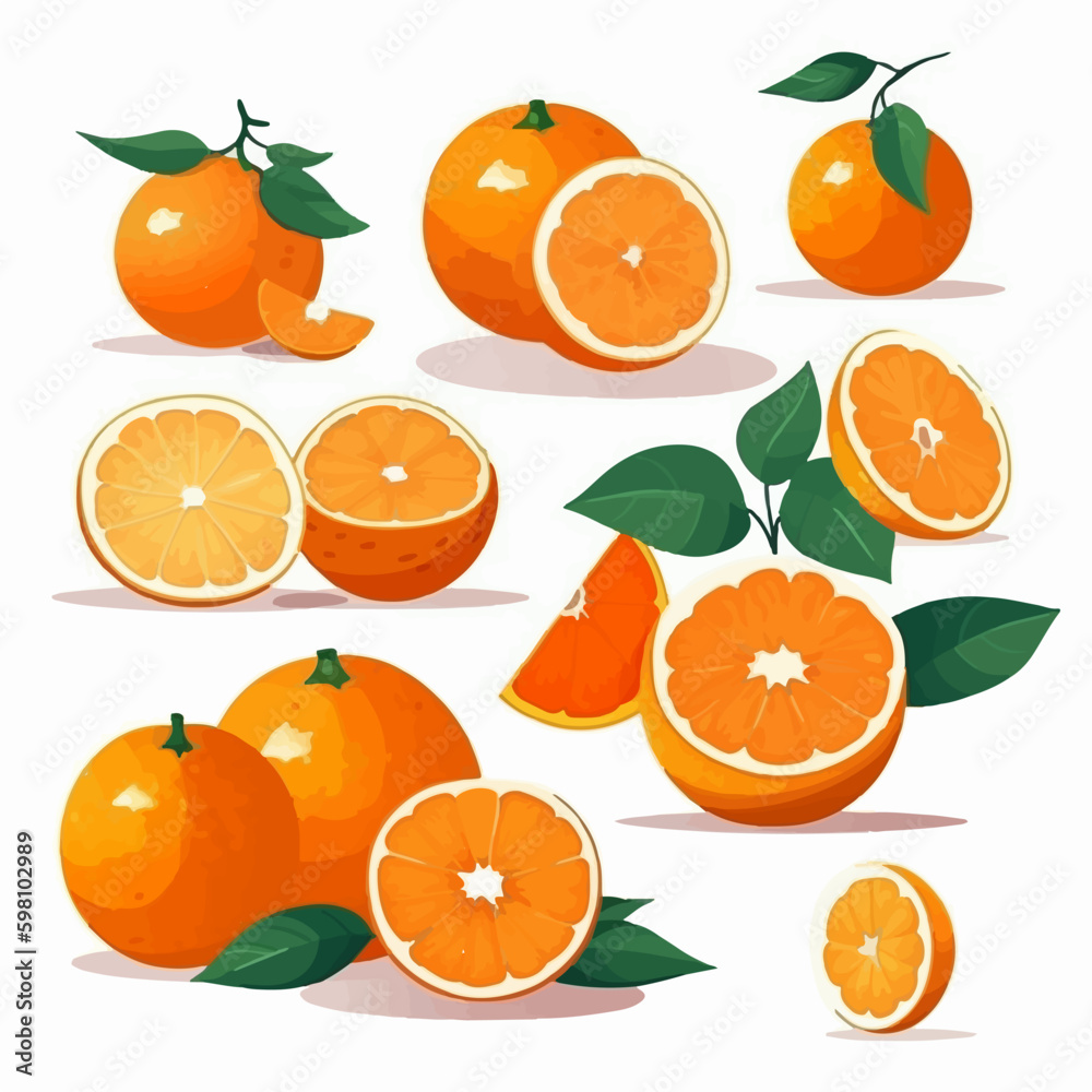 A set of orange vector illustrations that are perfect for your citrus-themed designs. A set of orange vector illustrations that are perfect for your citrus-themed designs.