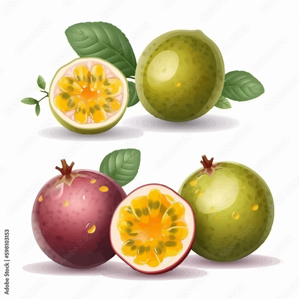 Collection of Passion Fruit vector icons with different poses