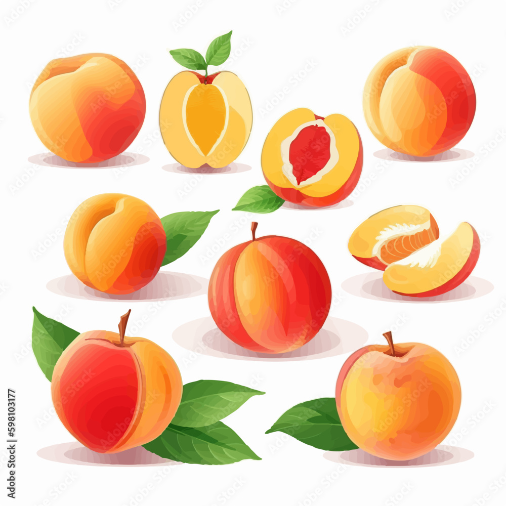 Illustrate your recipe cards with these mouth-watering peach vector illustrations.