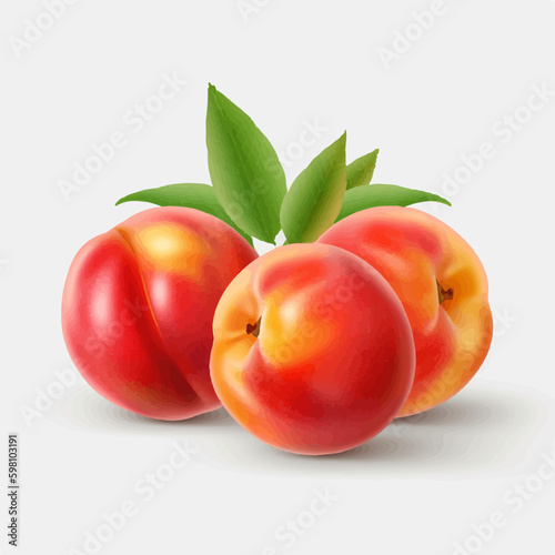 Set of vector illustrations capturing the natural beauty of peaches.