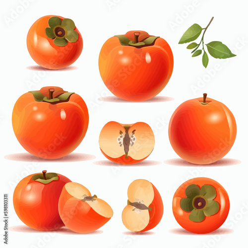 Add a touch of harvest season to your designs with these persimmon vector graphics.