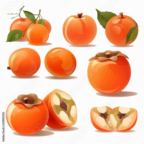 Vector illustrations of persimmon that will add a burst of color to your designs.