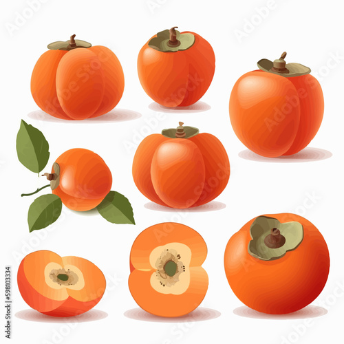 Set of vector images showcasing the glossy appearance of persimmons.