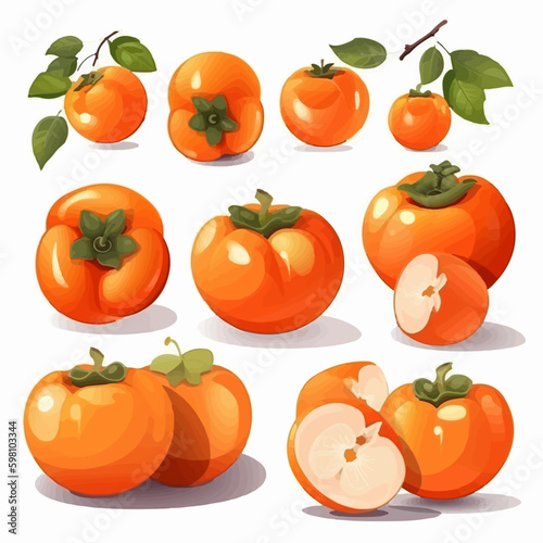 Vector illustrations of persimmon that will give your designs a rustic and natural look.