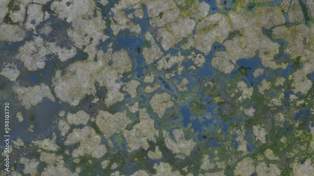 Aerial Drone View Barrow Alaska top down over thawed permafrost Aerial Drone View Barrow Alaska top down over thawed permafrost