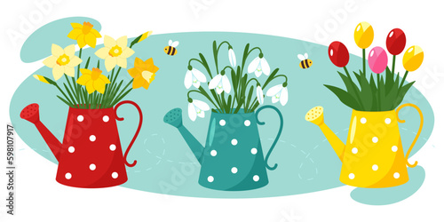 Collection of spring flowers in a watering can. Daffodils, tulips and primroses. Gardening illustration. Vector illustrations for cards, invitations