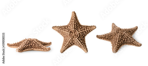 Three foreshortening of starfish isolated on white background