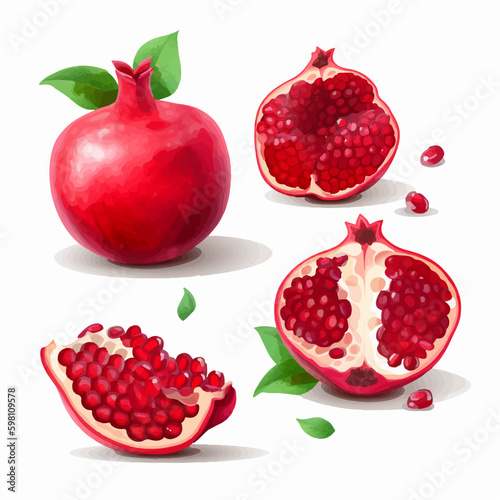 Explore the vibrant beauty of pomegranates with this collection of vector illustrations.