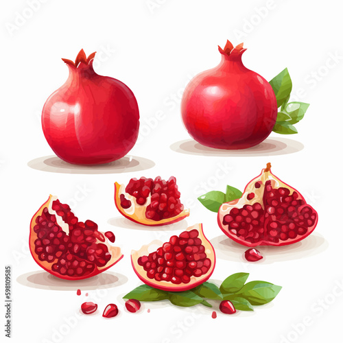 Colorful and detailed pomegranate vector illustrations created in Adobe Illustrator.