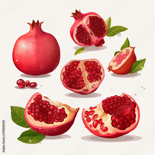 Create an exotic atmosphere with this set of pomegranate vector illustrations.