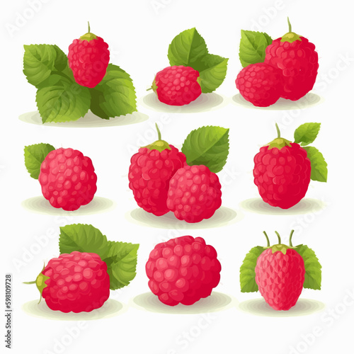Vibrant and colorful raspberry vector illustrations created in Adobe Illustrator.
