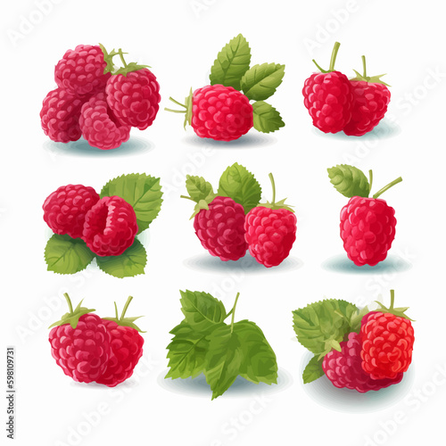 Create mouth-watering designs with this collection of raspberry vector graphics.
