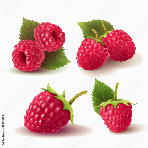 Bring the taste of raspberries to your designs with these vector illustrations.