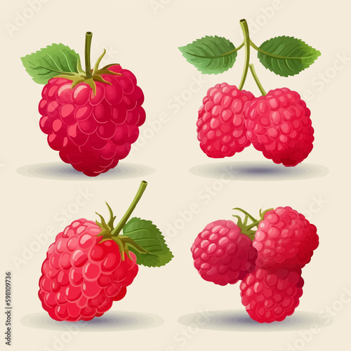 Illustrate your projects with these fresh raspberry vector images.